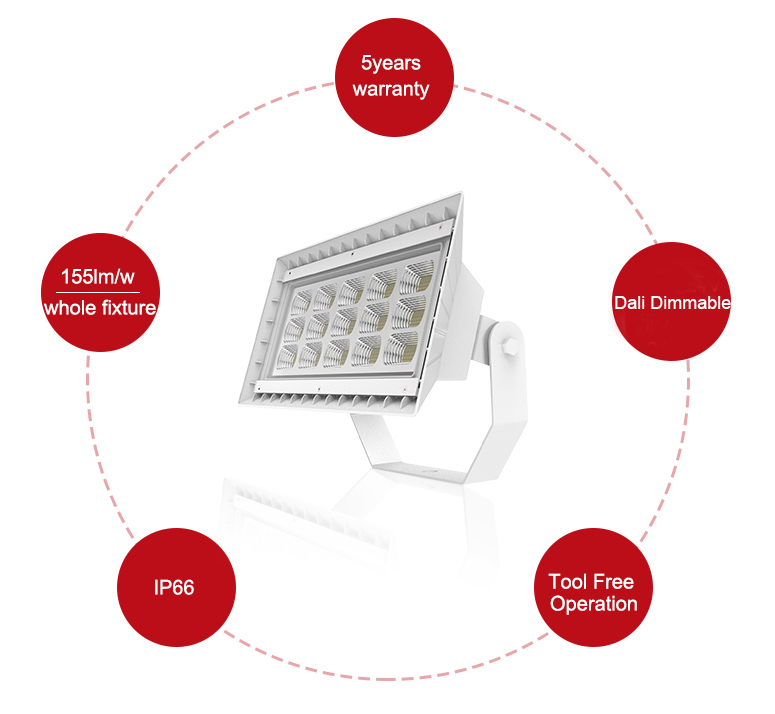 LED Flood Light